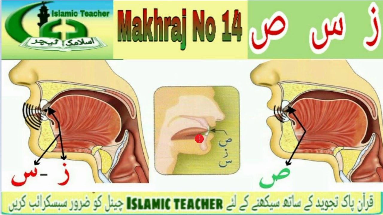 Arabic letter articulation