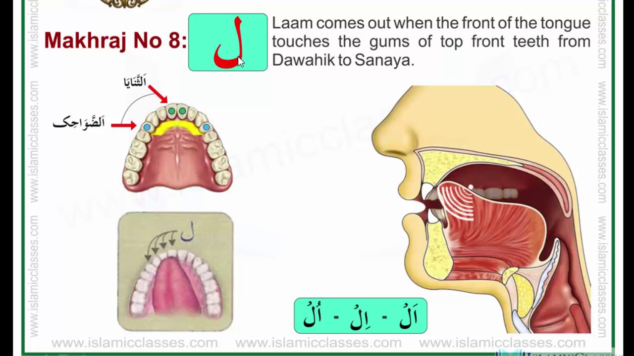 Pronunciation practice